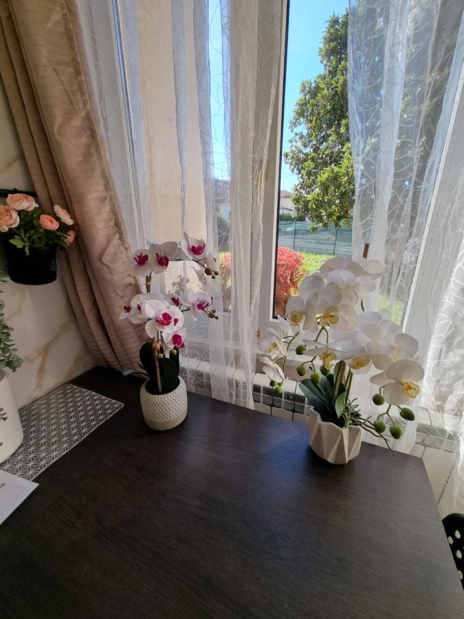 Alloggio Silva Гориция Экстерьер фото